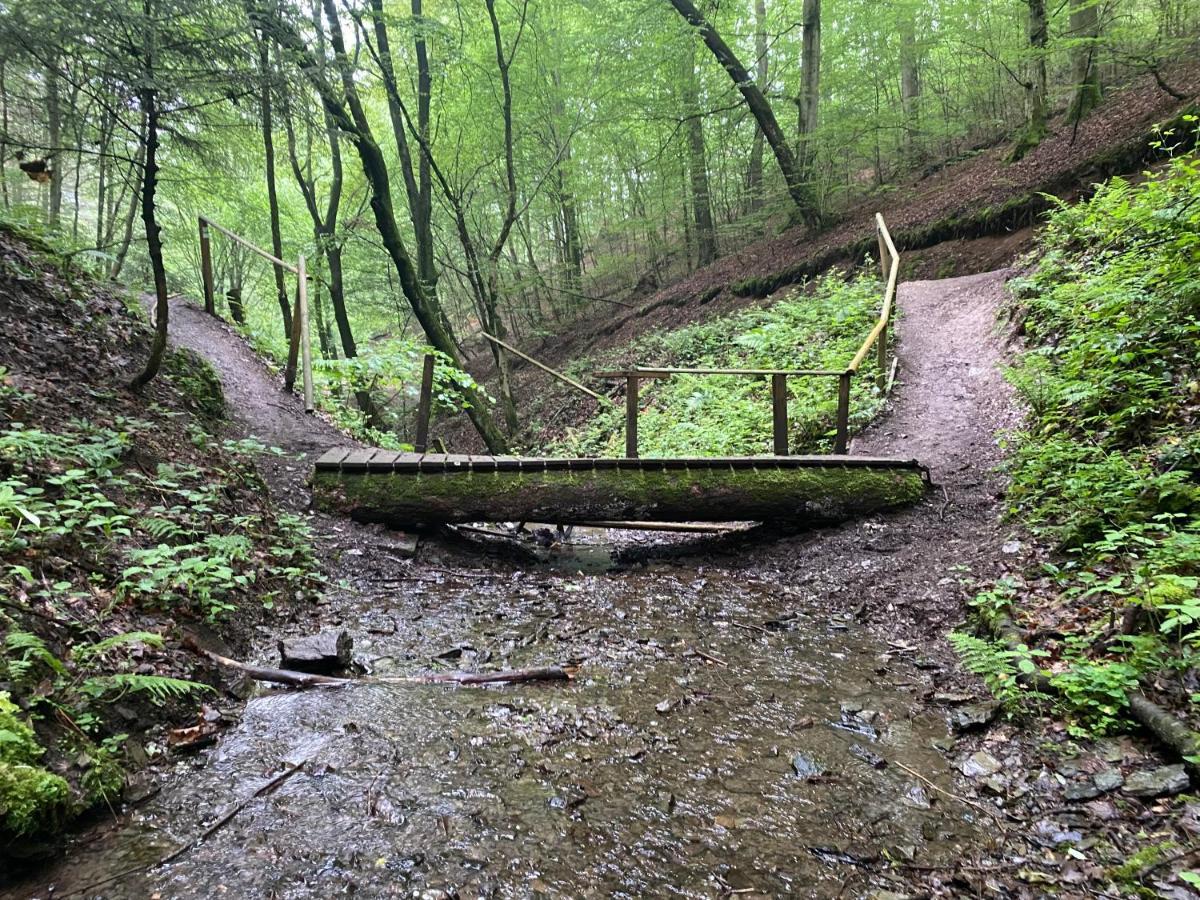 Neu!!! Netflix!!! Schoene Ferienwohnungen Im Gruenen Mit Top Ausstattung - Nur 15 Min Bis Koblenz Eitelborn Екстериор снимка